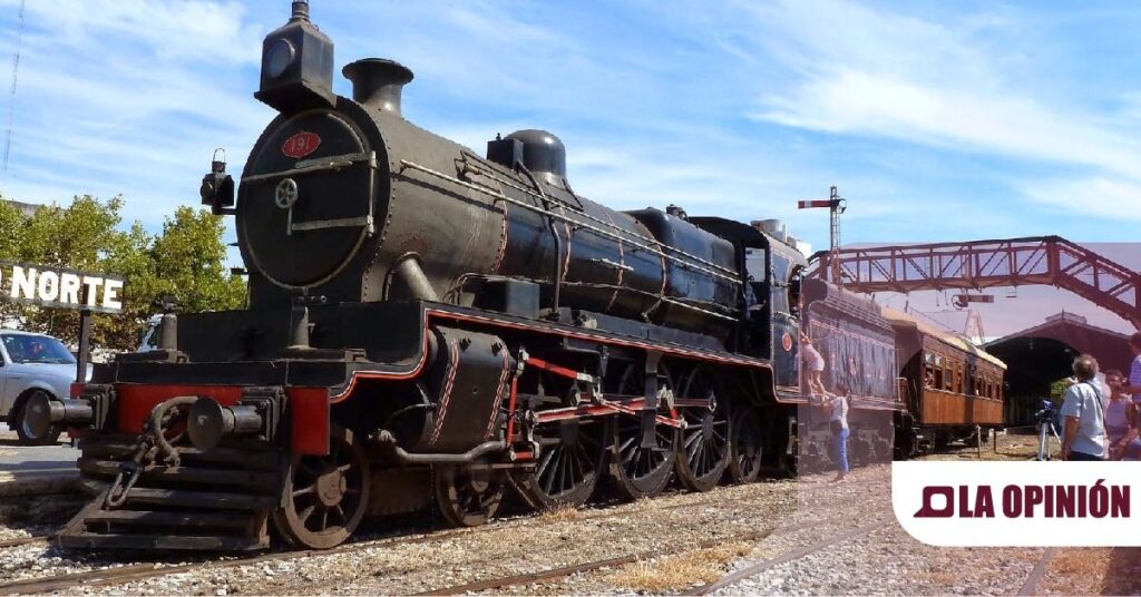 Muere mujer embestida por una locomotora mientras se tomaba selfie.