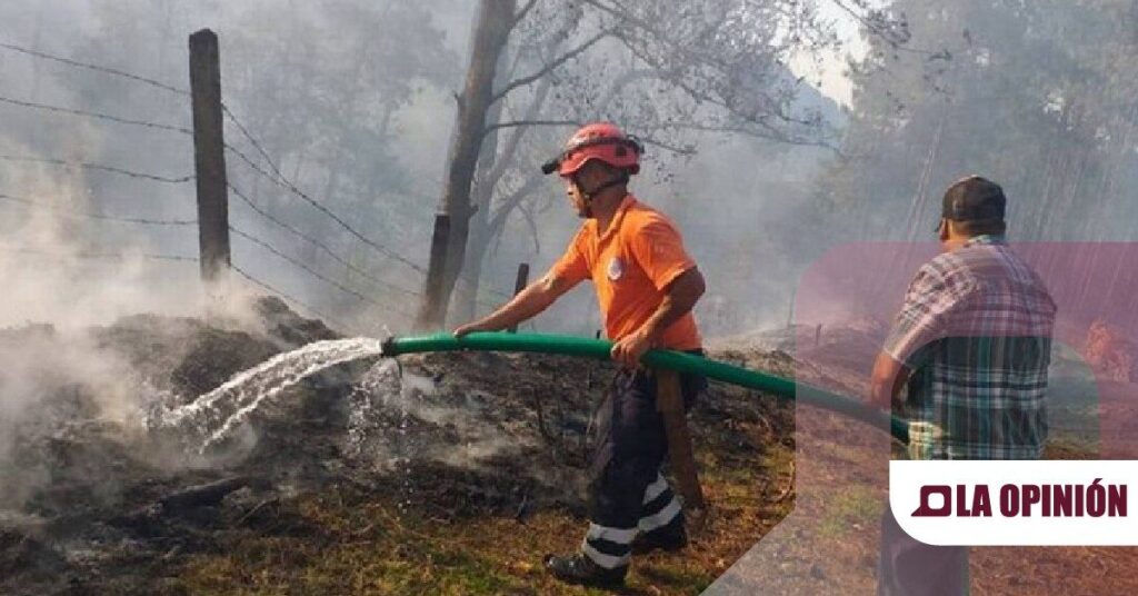 Dos incendios forestales fuera de control en Hidalgo: Tenango de Doria y Acaxochitlán