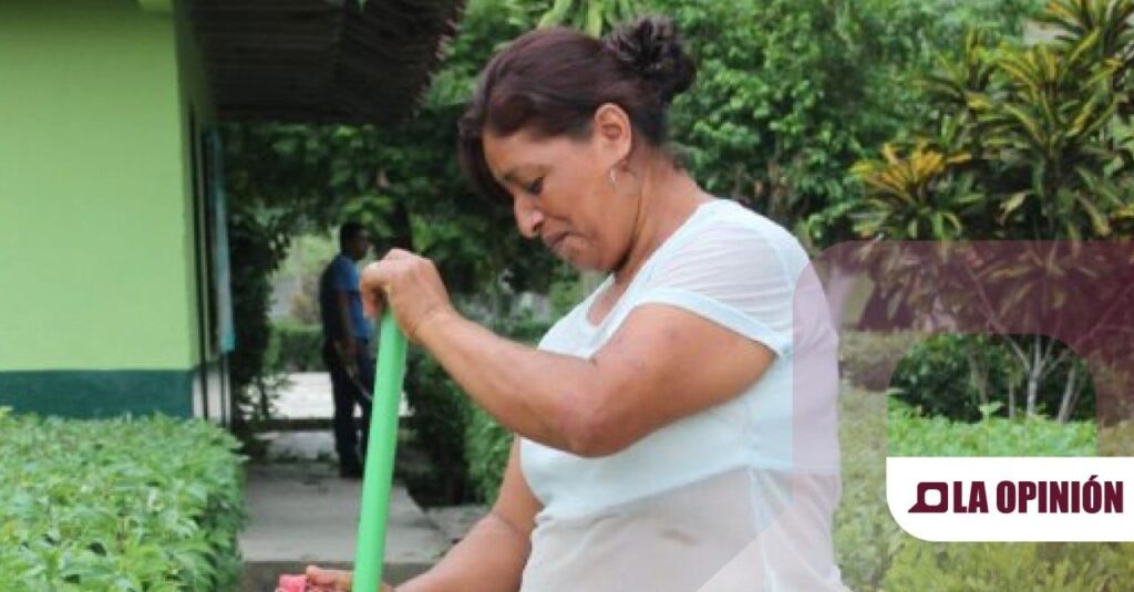 Invita la SSH a prevenir padecimientos bacterianos relacionados con los desechos órganicos.