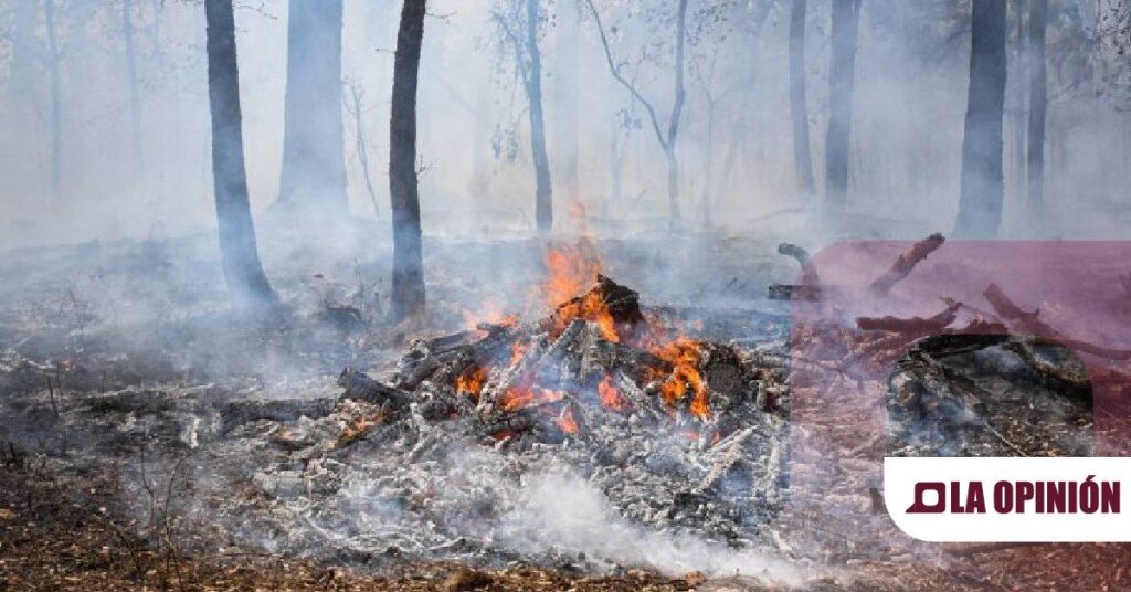 Hidalgo, cuarta entidad con más incendios forestales provocados por fumadores en 2024