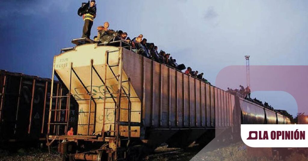 Tragedia en Hidalgo: Mujer migrante muere al caer de “La Bestia”