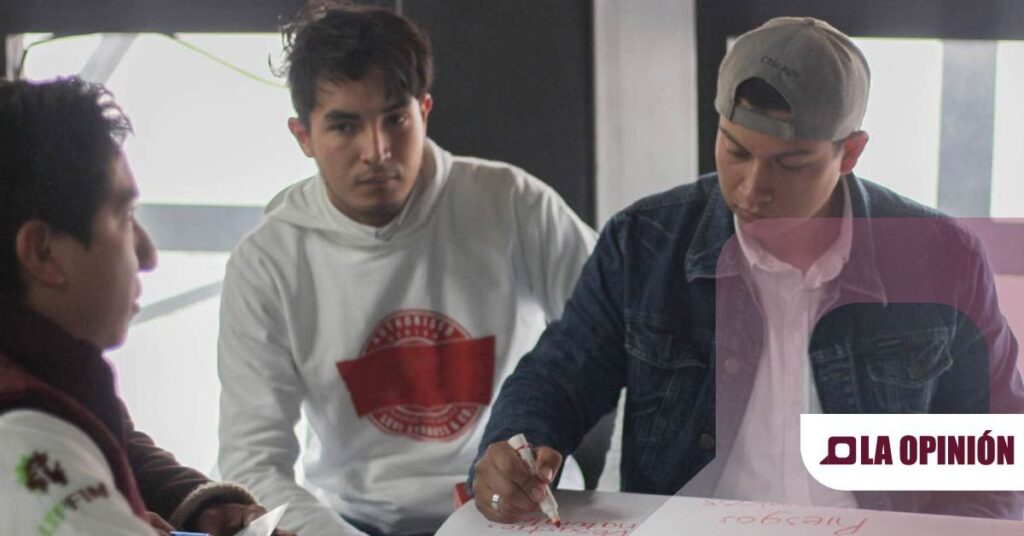 Sedeco Ofrece Becas para la Sostenibilidad del 100%