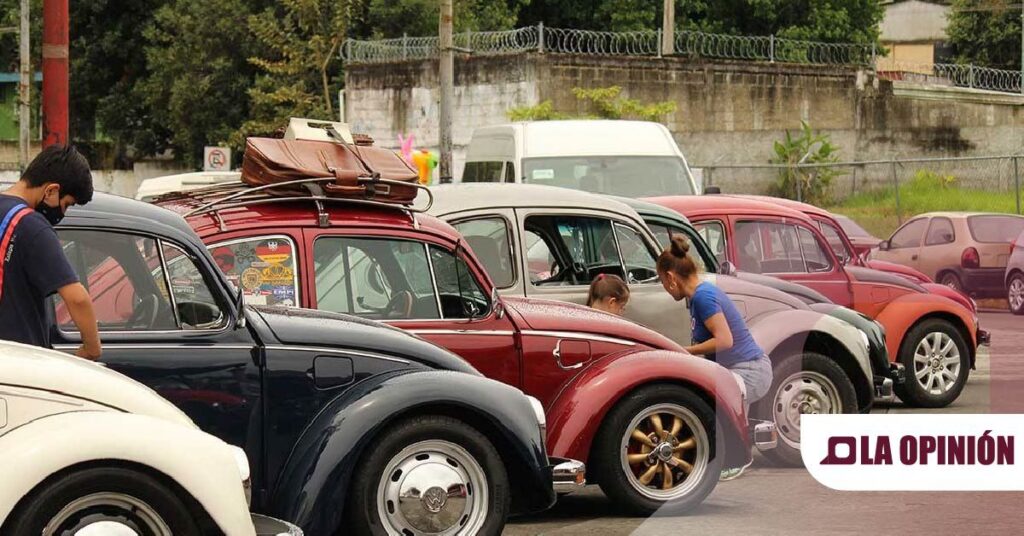 Vocho Fest 2024, un evento para los fanático de los Volkswagen Sedan