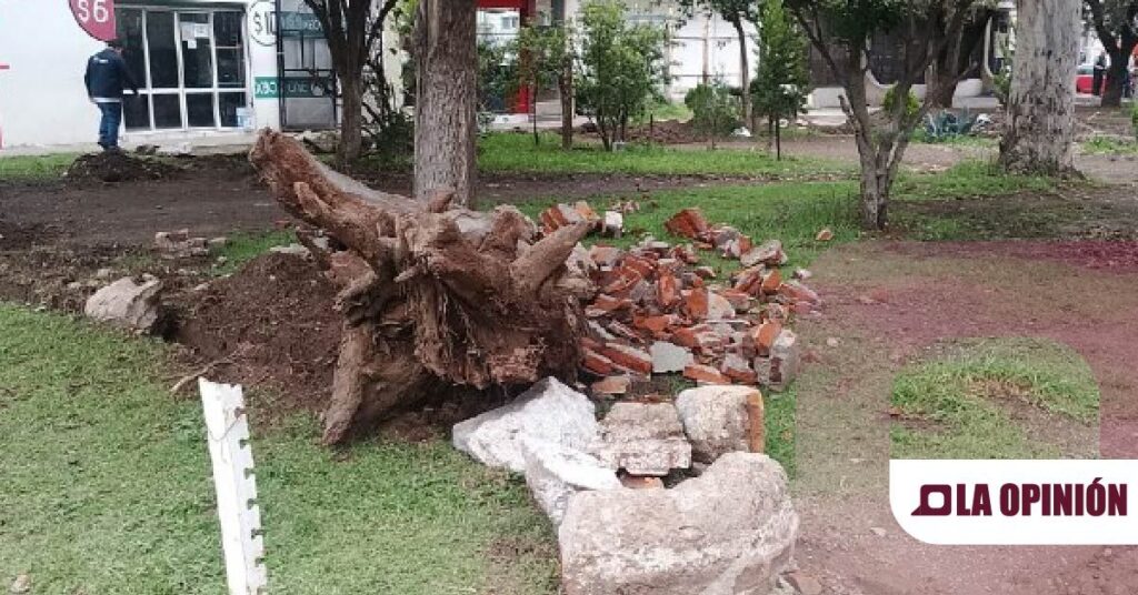 Vecinos de Ciudad Sahagún exigen explicación por tala y construcción en área verde pública