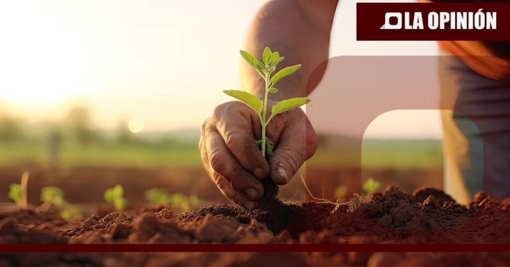 Significativas lluvias alivian la sequía extrema y excepcional en municipios de Hidalgo