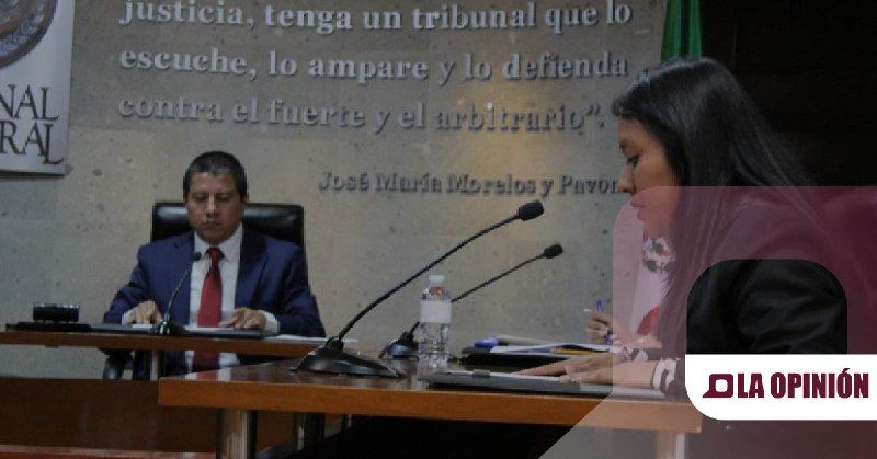 TEEH impone amonestación pública a candidato del PVEM