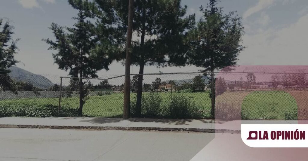 Unidad Deportiva de Tlanalapa en condiciones deplorables