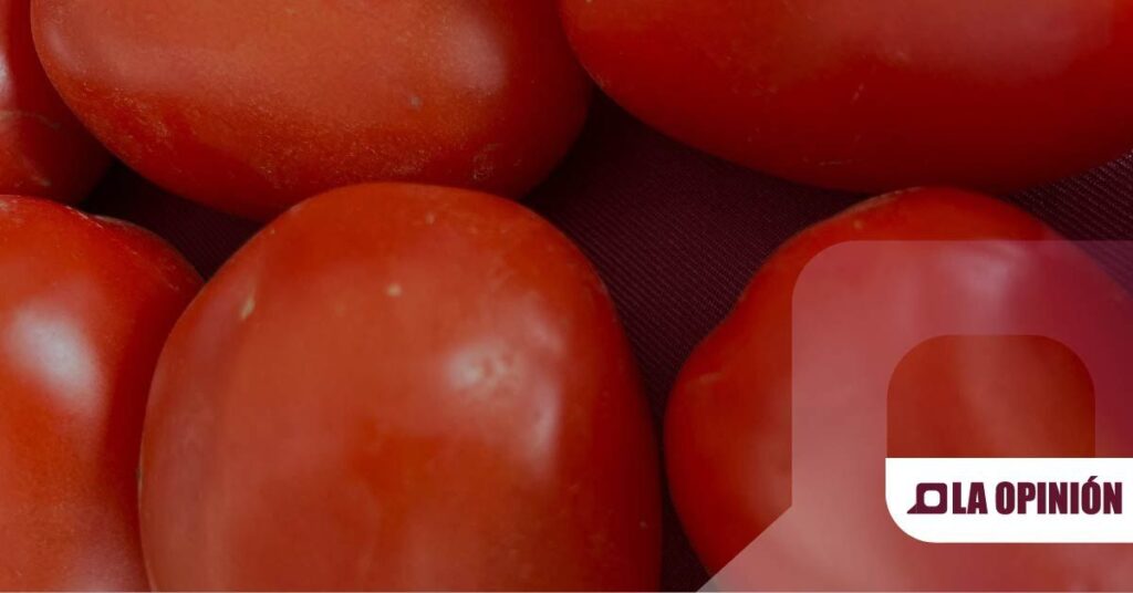 TomatónFest será festival con causa para incentivar el turismo en región Tulancingo