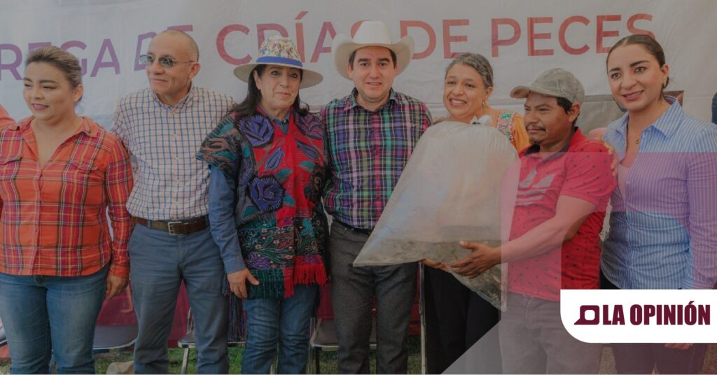 Siembran 300 mil crías de peces en la laguna de Apan