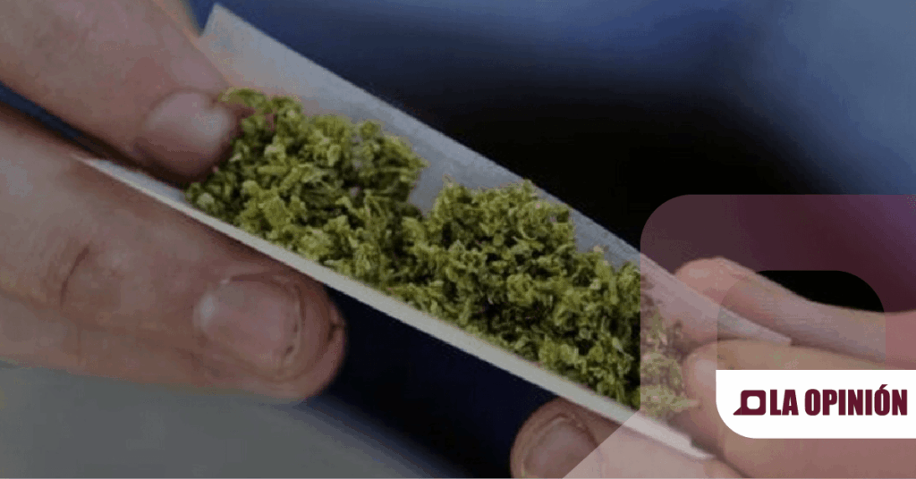 Aseguran más de 600 mil dosis de drogas en Hidalgo en 22 meses: Marihuana y cristal lideran decomisos