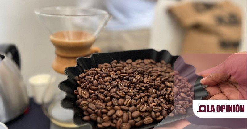 Se realiza la tercera edición de la Expo Café 2024 en Pachuca