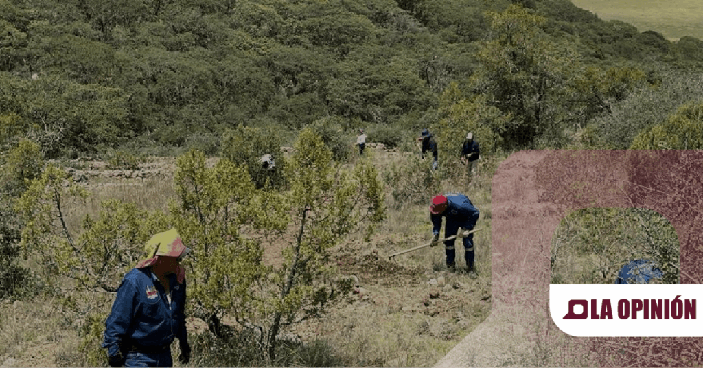 Cocinillas en Apan es destino turístico