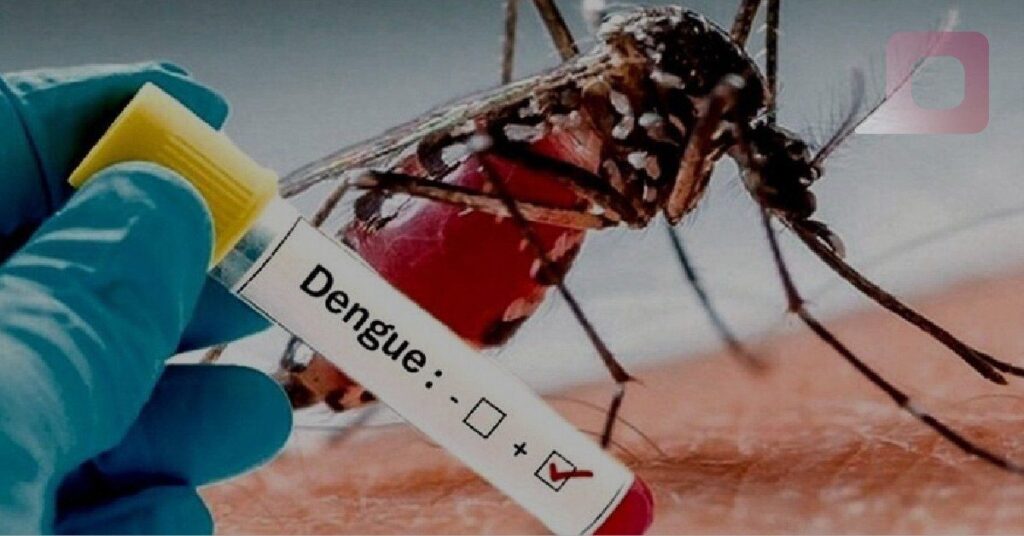 Aumento del 700% en casos de dengue sin defunciones