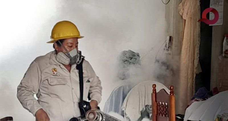 Suman 1,027 casos de Dengue en Hidalgo