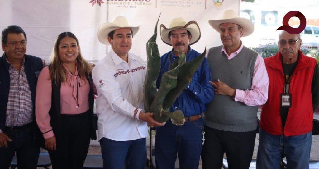 Invierten 18 Mdp en la producción de Maguey