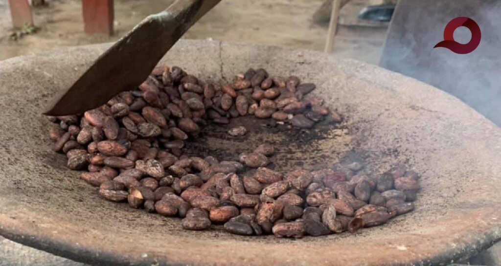 Hidalgo enfrenta desabasto de cacao para celebraciones de Xantolo