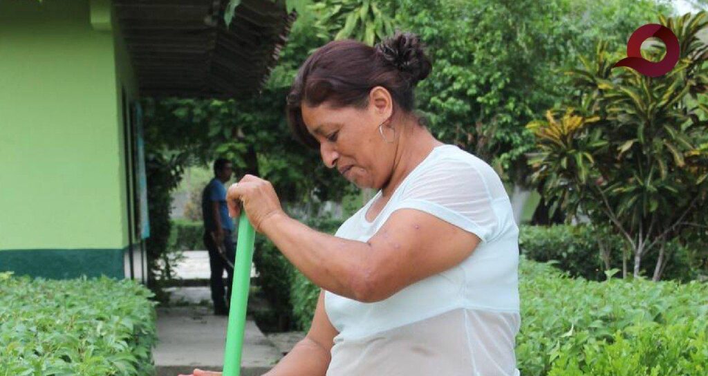 SSH invita a seguir medidas de protección personal para evitar contagios de dengue