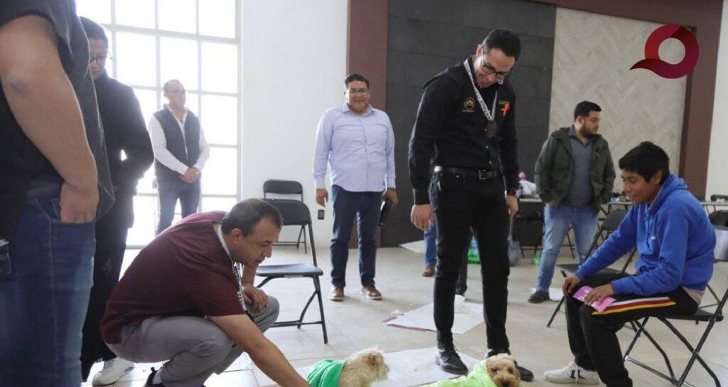 Dan inicio 1400 esterilizaciones para lomitos y michis en Pachuca