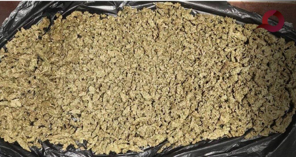 SSPH detiene a sujetos con dos kilos de marihuana