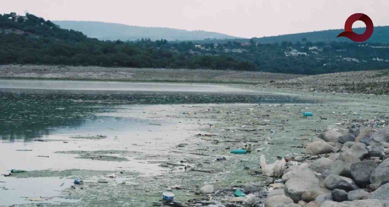 Primeros avances en retiro de lirio en presa Endhó