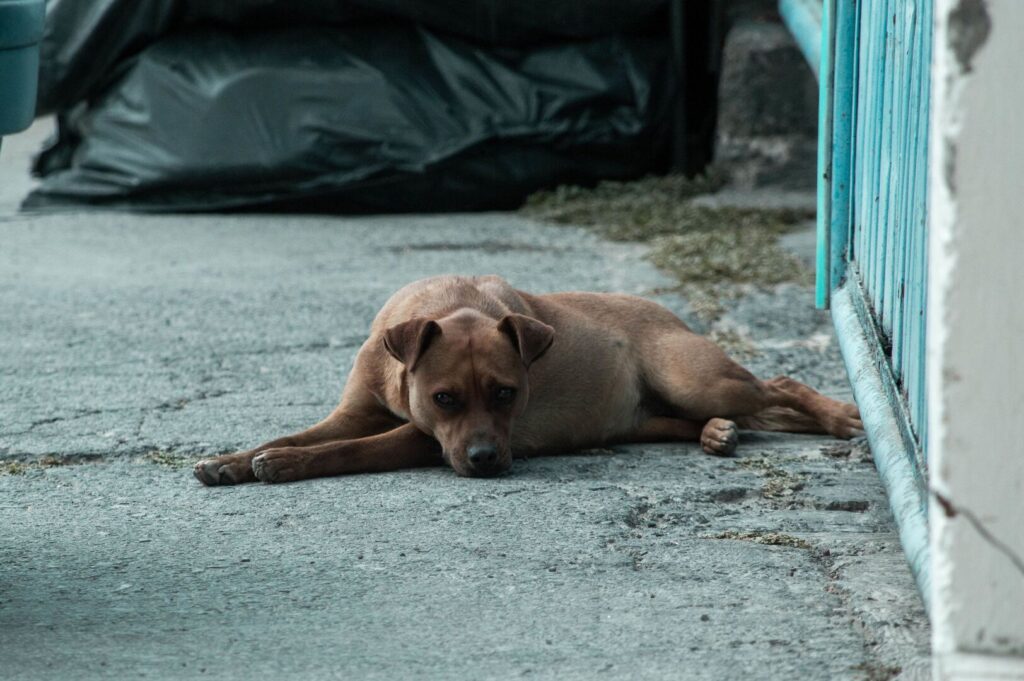 Trascendido: Garganta no tan Profunda (16 de febrero)