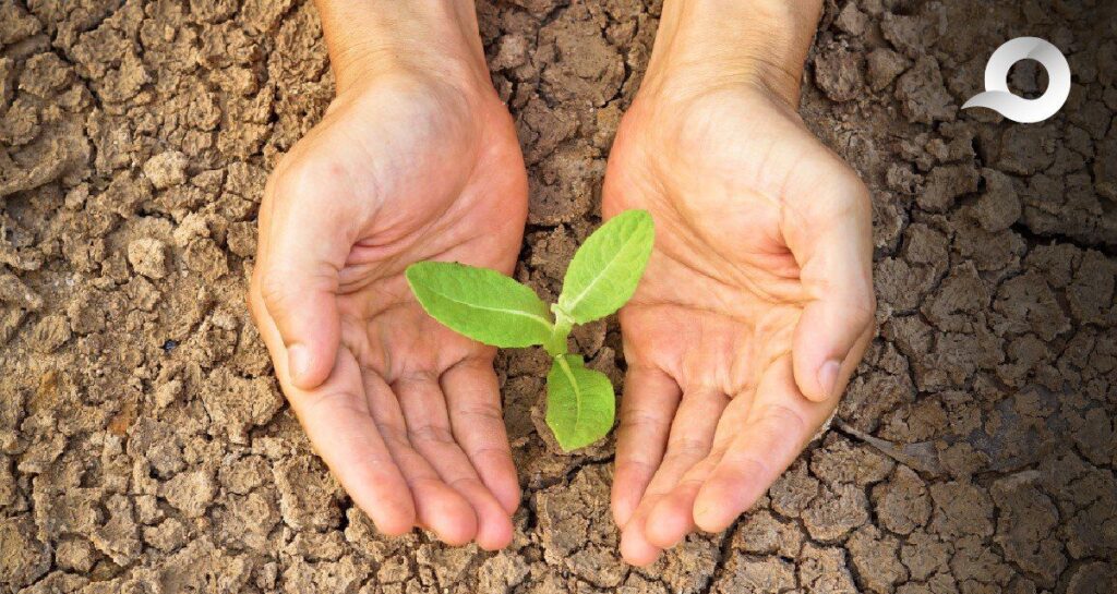 Sequía en Hidalgo disminuye 36% en mayo, pero la alerta persiste por posibles impactos agrícolas