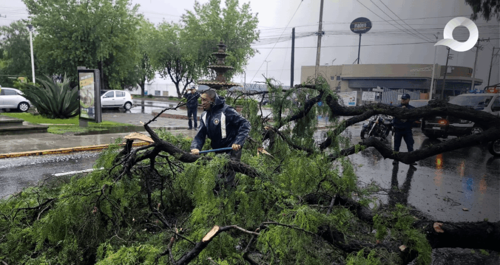 Trascendido: Garganta no tan Profunda (22 de junio del 2025)