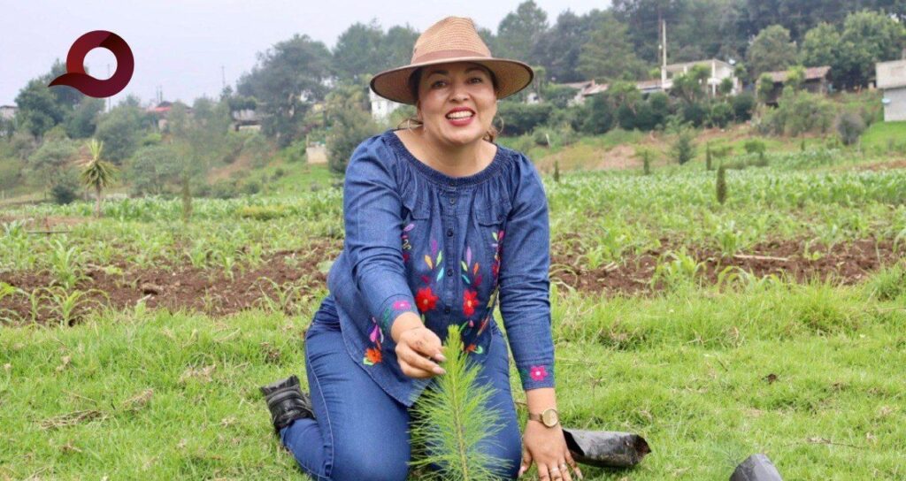 Yarabi González Impulsa iniciativa para dignificar a intérpretes de lenguas indígenas