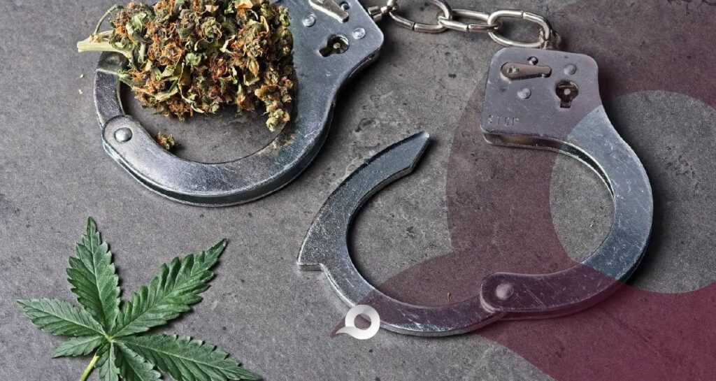 Cateo en Tizayuca: FGR asegura plantas de marihuana, cartucho y uniforme policial en operativo