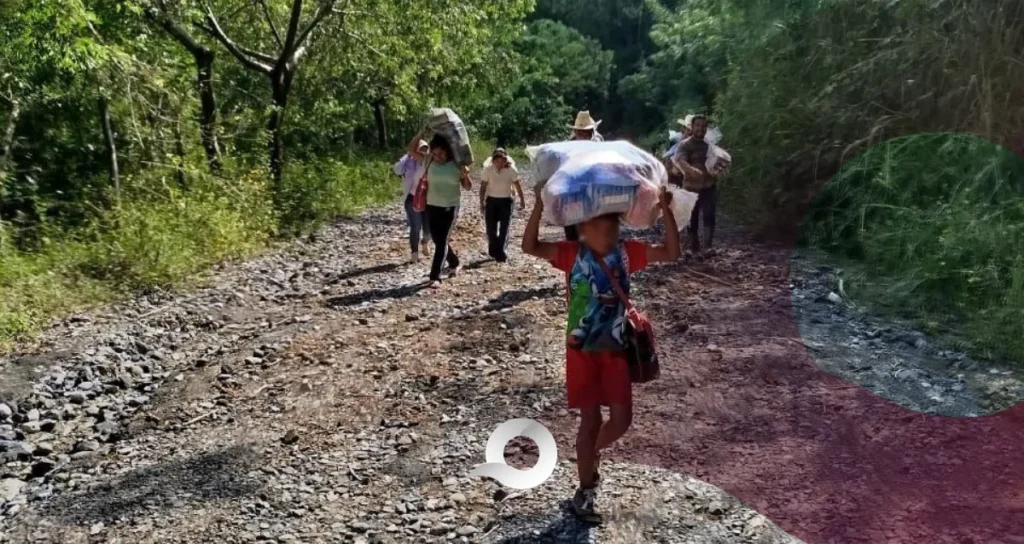 Entrega de despensas en Huehuetla