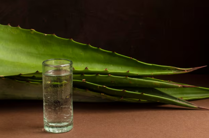 Parque Fotovoltaico en Hidalgo
