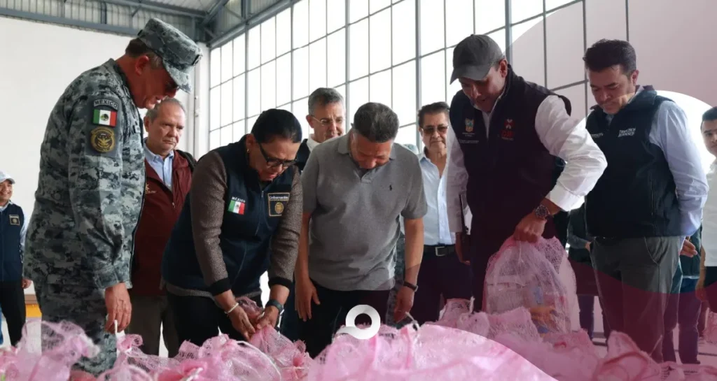 SEGOB y Julio Menchaca envían apoyo a ciudadanía afectada por Priscilla