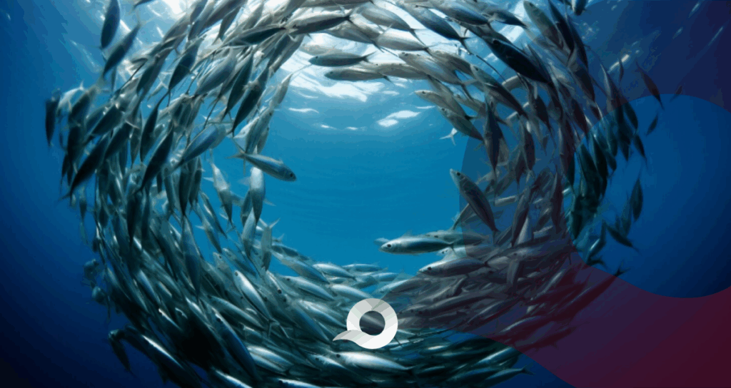 Producción pesca acuicultura alcanza nivel récord según informe de la FAO Producción pesca acuicultura