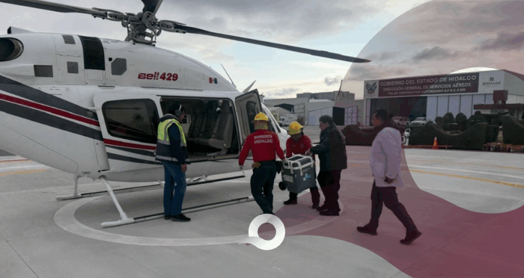 Traslado aéreo órganos