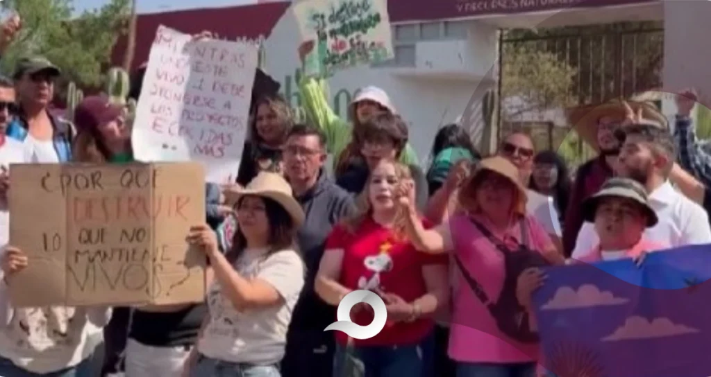 Vecinos y ambientalistas marchan en defensa del Cerro de Cubitos para evitar un Mahahual 2.0 Vecinos y ambientalistas marchan en defensa del Cerro de Cubitos para evitar un Mahahual 2.0
