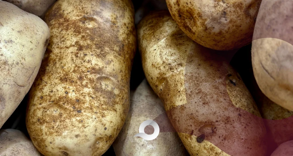 Denuncian que el precio de las papas subió más de un 100% en Pachuca Denuncian un aumento en el precio de las papas más de un 100%