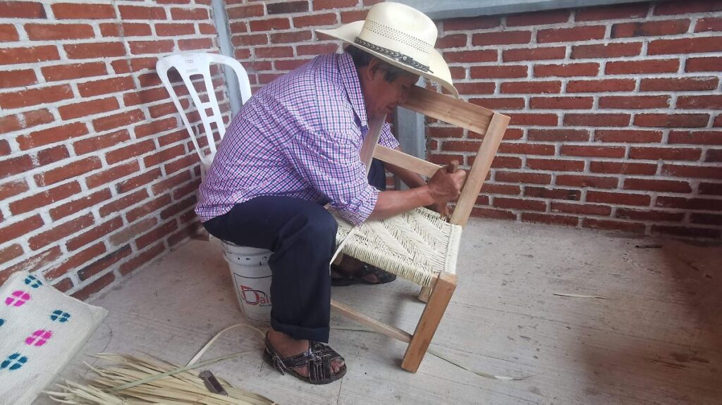 Artesano de Huejutla mantiene viva la tradición del tejido con palma Artesano de Huejutla tejiendo una silla con palma natural utilizando técnicas tradicionales de la Huasteca hidalguense