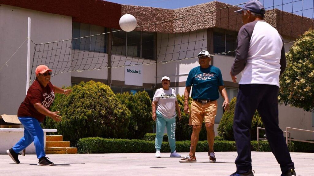 Grupo de adultos mayores jugando cachibol en una cancha deportiva, practicando este deporte adaptado del voleibol