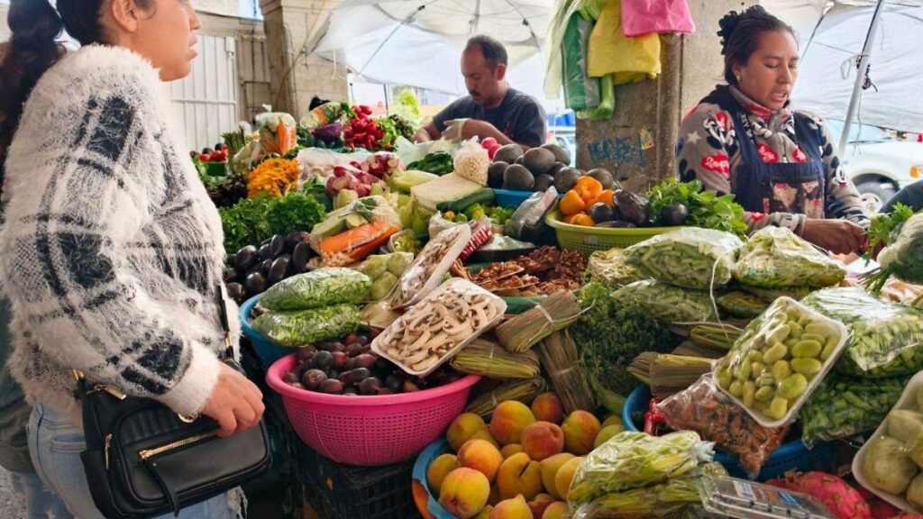 Agricultores hidalguenses inspeccionan cultivos de durazno afectados por lluvias y granizo
