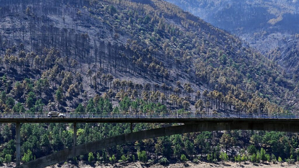 España contiene incendios forestales; Francia en alerta por Gironda Incendios forestales activos en Europa con humo visible en zonas boscosas afectadas
