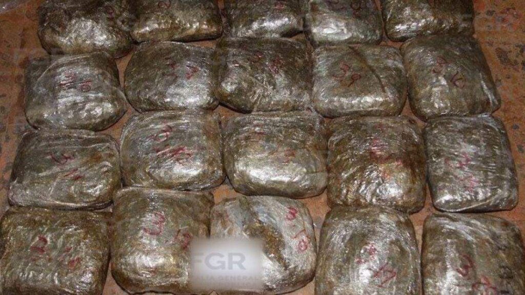 Paquetes de droga decomisados por autoridades federales durante operativo de revisión vehicular en carretera