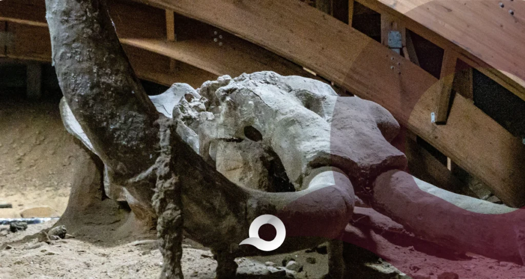 Investigan posible hallazgo de restos de mamut en Tizayuca