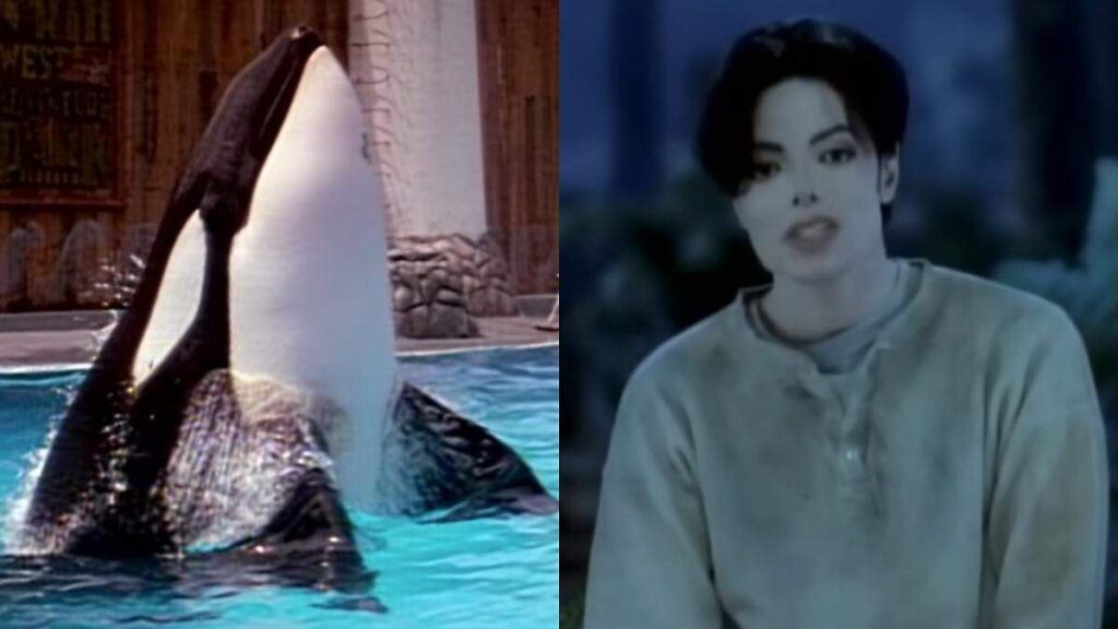 Keiko, la orca protagonista de Liberen a Willy, nadando en su tanque durante la filmación de la película de 1993