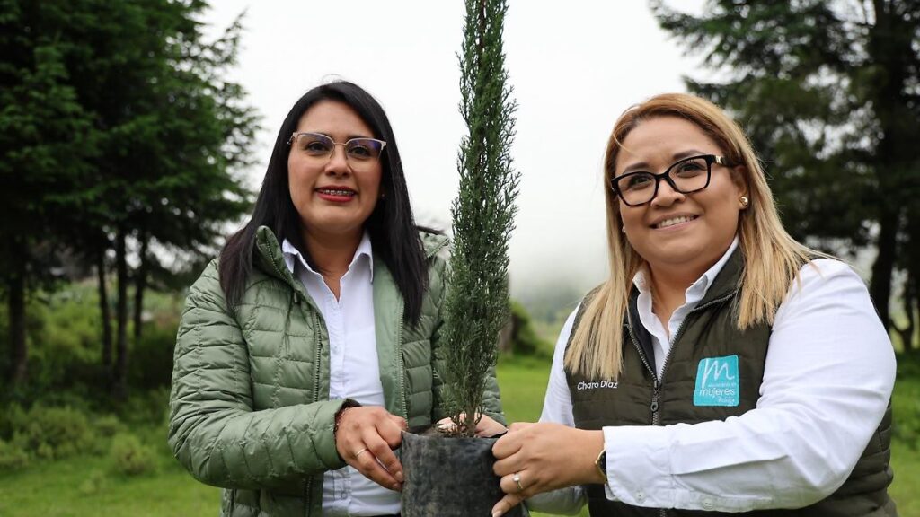 Voluntarios de Nueva Alianza Hidalgo plantando árboles en jornada de reforestación en un parque municipal