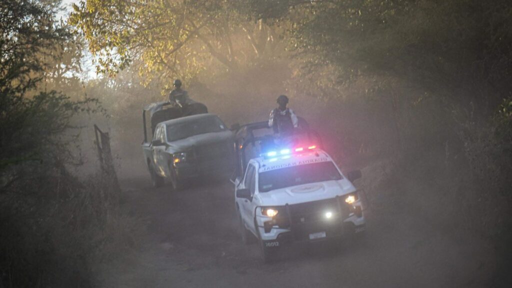 Operativo de fuerzas federales contra el narcotráfico con detenciones y aseguramiento de drogas