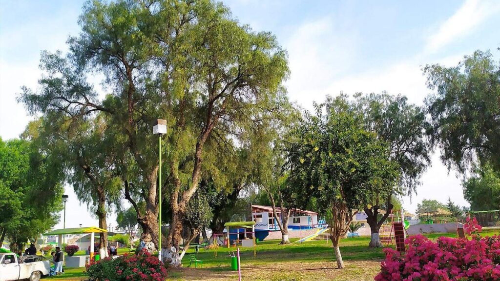 Parque La Eroka en Actopan: caminatas, asadores y diversión familiar Vista del Parque La Eroka en Actopan, Hidalgo, con senderos naturales, áreas verdes y zonas de asadores para visitantes