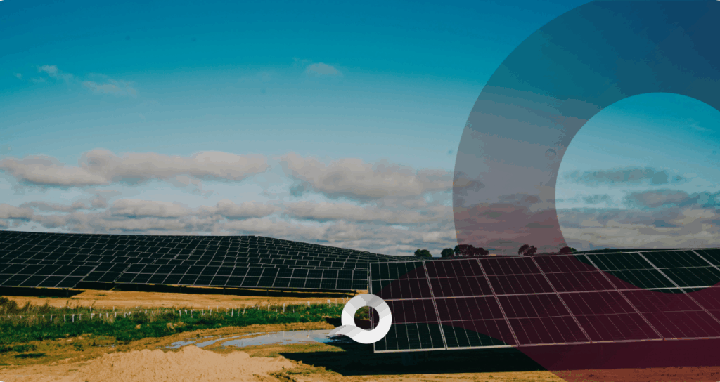Trabajos y tradición pulquera, en riesgo por parques fotovoltaicos en Epazoyucan: Activistas Trabajos y tradición pulquera, en riesgo por parques fotovoltaicos en Epazoyucan: Activistas