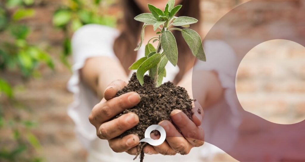 Hidalgo plantará 2 millones de árboles y plantas durante la Jornada Nacional de Reforestación 2026 Hidalgo plantará 2 millones de árboles y plantas durante la Jornada Nacional de Reforestación 2026