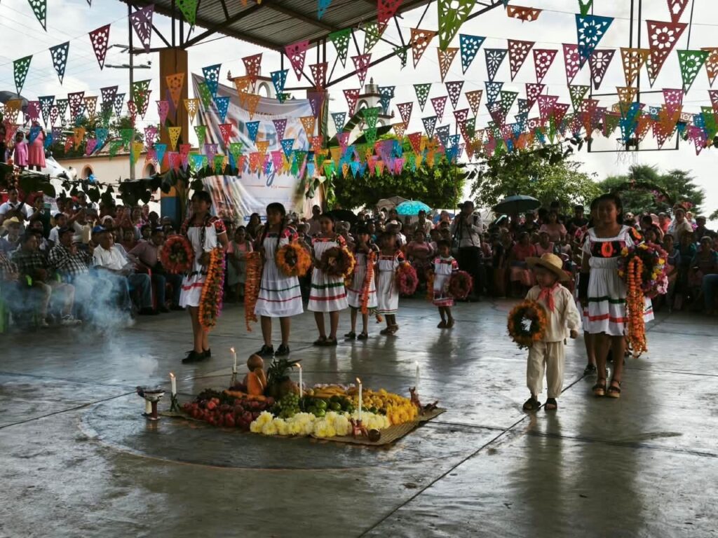 Campesinos indígenas cultivan milpa tradicional en las montañas de Tlanchinol, Hidalgo, manteniendo prácticas agrícolas ancestrales