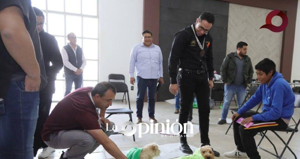 Dan inicio 1400 esterilizaciones para lomitos y michis en Pachuca